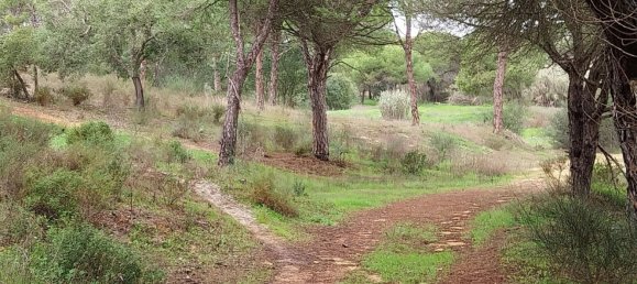 Grundstück in Almancil, Portugal 9670m², Nr. 125414 13