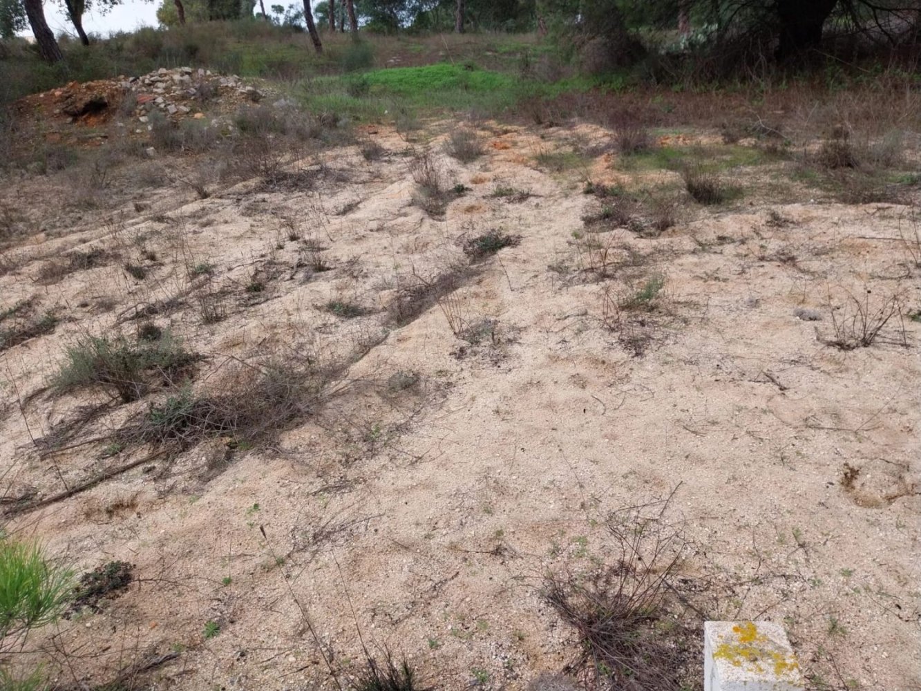 Terrain à Almancil, Portugal 9670m² No. 125414