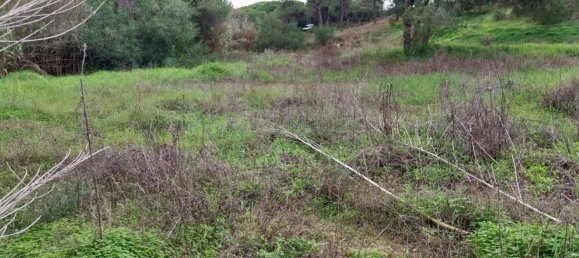 Grundstück in Almancil, Portugal 9670m², Nr. 125414 12