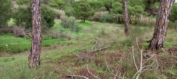 Grundstück in Almancil, Portugal 9670m², Nr. 125414 15