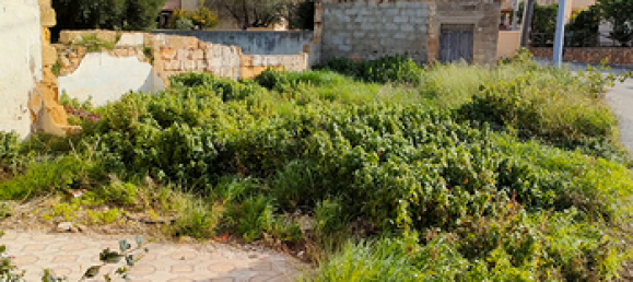 Terreno en Custonaci, Italy 220 m² No. 258401 2