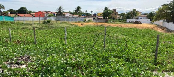 1600m² Hotel in Ilha de Itamaraca, Brazil No. 8 2