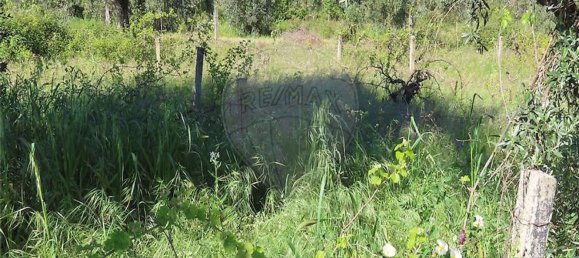 1 غرف نوم منزل في Penamacor, Portugal رقم 89487 35