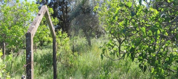 1 غرف نوم منزل في Penamacor, Portugal رقم 89487 16