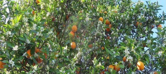 1 غرف نوم منزل في Penamacor, Portugal رقم 89487 33