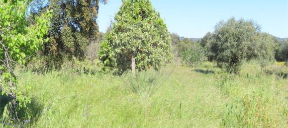 1 غرف نوم منزل في Penamacor, Portugal رقم 89487 34