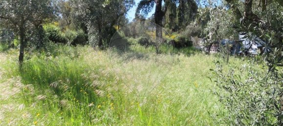 1 غرف نوم منزل في Penamacor, Portugal رقم 89487 8