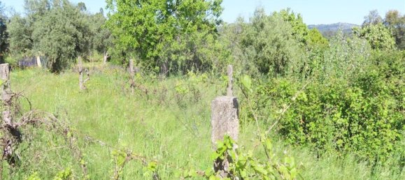 1 غرف نوم منزل في Penamacor, Portugal رقم 89487 13