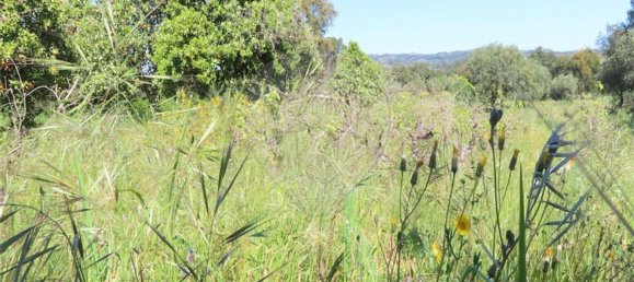 1 غرف نوم منزل في Penamacor, Portugal رقم 89487 23