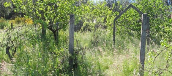 1 غرف نوم منزل في Penamacor, Portugal رقم 89487 19