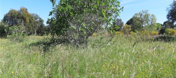 1 غرف نوم منزل في Penamacor, Portugal رقم 89487 45