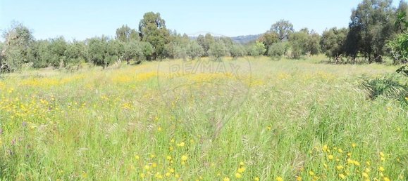 1 غرف نوم منزل في Penamacor, Portugal رقم 89487 40