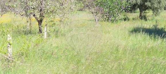 1 غرف نوم منزل في Penamacor, Portugal رقم 89487 36