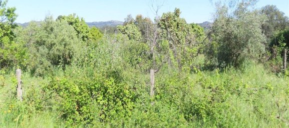 1 غرف نوم منزل في Penamacor, Portugal رقم 89487 15