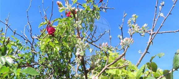 1 غرف نوم منزل في Penamacor, Portugal رقم 89487 21