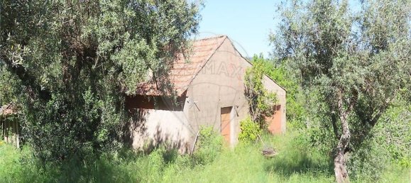 1 غرف نوم منزل في Penamacor, Portugal رقم 89487 3