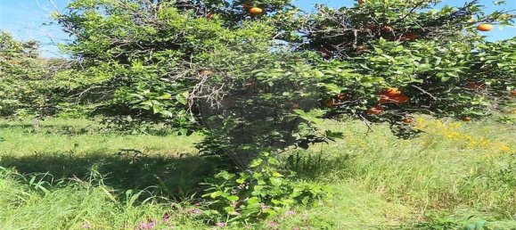 1 غرف نوم منزل في Penamacor, Portugal رقم 89487 26