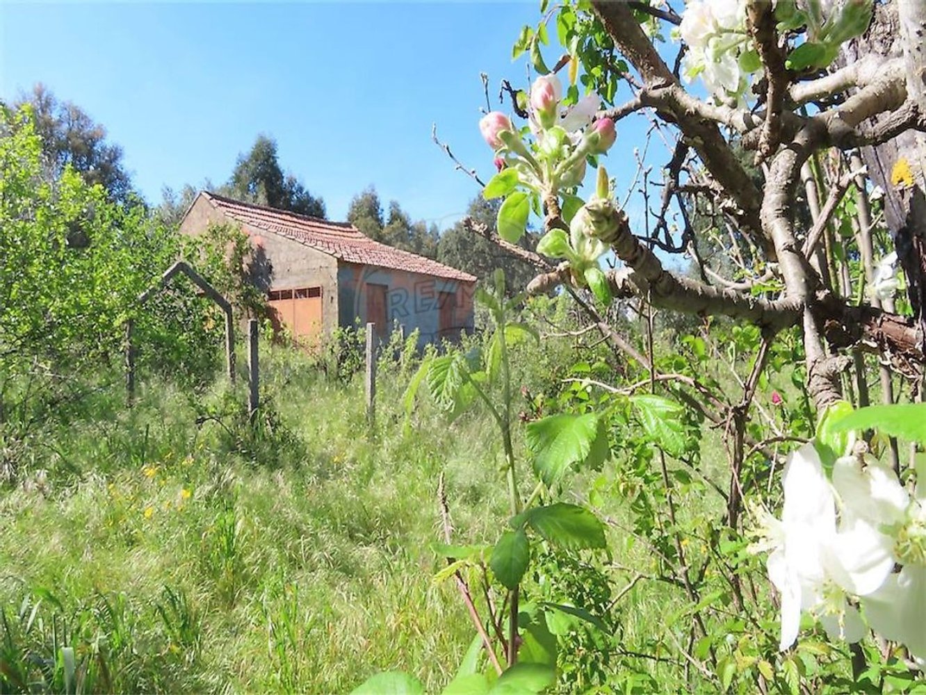 1 غرف نوم منزل في Penamacor, Portugal رقم 89487