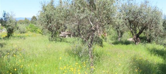 1 غرف نوم منزل في Penamacor, Portugal رقم 89487 7