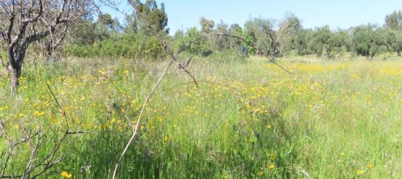 1 غرف نوم منزل في Penamacor, Portugal رقم 89487 41