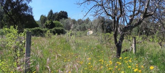 1 غرف نوم منزل في Penamacor, Portugal رقم 89487 47