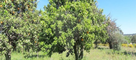 1 غرف نوم منزل في Penamacor, Portugal رقم 89487 29