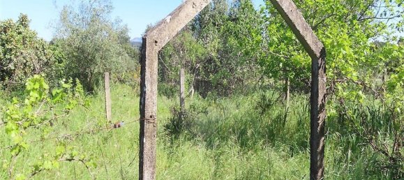 1 غرف نوم منزل في Penamacor, Portugal رقم 89487 17