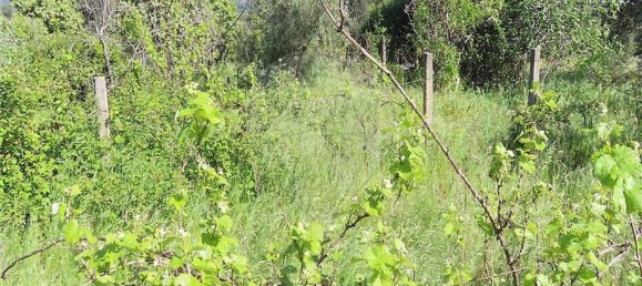 1 غرف نوم منزل في Penamacor, Portugal رقم 89487 14