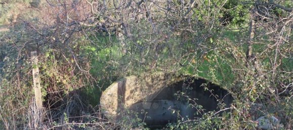 1 غرف نوم منزل في Penamacor, Portugal رقم 89487 5