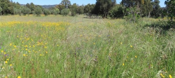 1 غرف نوم منزل في Penamacor, Portugal رقم 89487 44