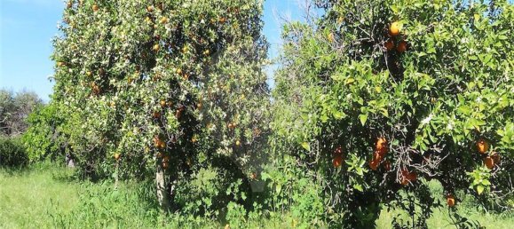 1 غرف نوم منزل في Penamacor, Portugal رقم 89487 24