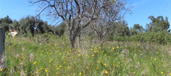 1 غرف نوم منزل في Penamacor, Portugal رقم 89487 42