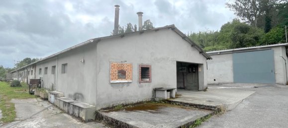 12 bedrooms House in Basque Autonomous Community, Spain No. 154491 16