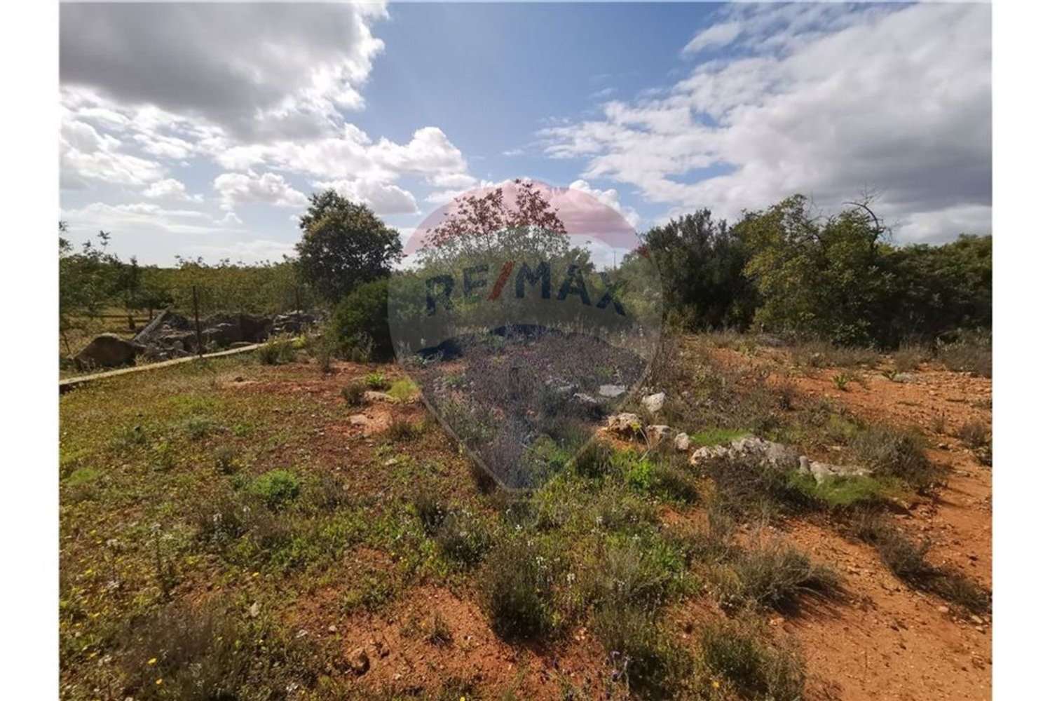  قطعة أرض في Quelfes, Portugal 3200متر مربع رقم 32571