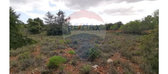 قطعة أرض في Quelfes, Portugal 3200متر مربع رقم 32571 4