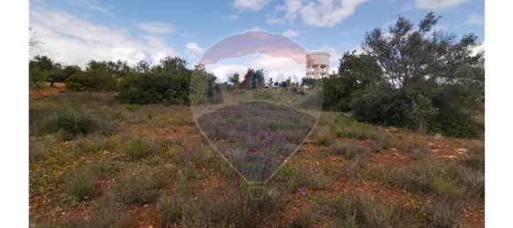 قطعة أرض في Quelfes, Portugal 3200متر مربع رقم 32571 2