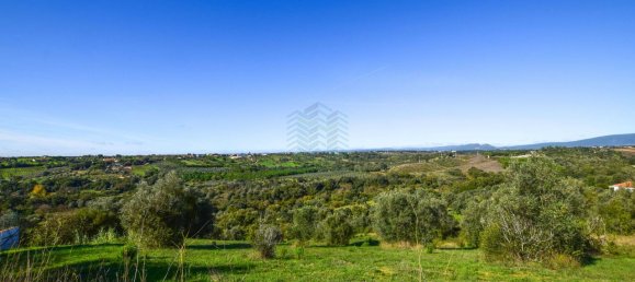 Terreno em Torres Novas, Portugal 8380 m² N.º 75268 6