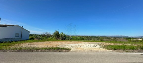 Terreno em Torres Novas, Portugal 8380 m² N.º 75268 10