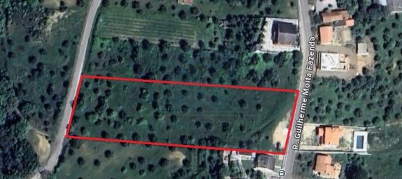 Terreno em Torres Novas, Portugal 8380 m² N.º 75268 21