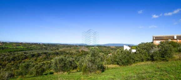 Terreno em Torres Novas, Portugal 8380 m² N.º 75268 8