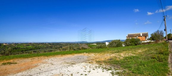 Terreno em Torres Novas, Portugal 8380 m² N.º 75268 3
