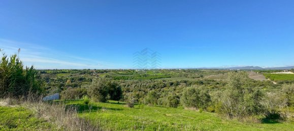 Terreno em Torres Novas, Portugal 8380 m² N.º 75268 15