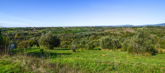 Terreno em Torres Novas, Portugal 8380 m² N.º 75268 5