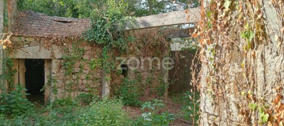 6 bedrooms House in Tondela, Portugal No. 57962 6