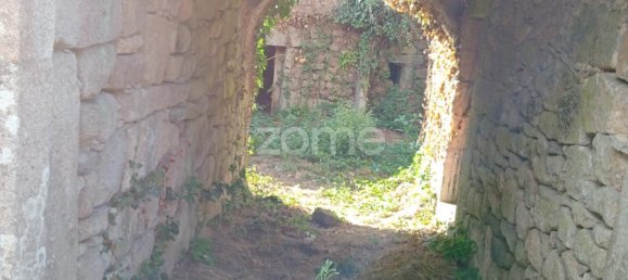 6 bedrooms House in Tondela, Portugal No. 57962 4