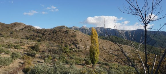 4 bedrooms House in Alcaucin, Spain No. 45157 28