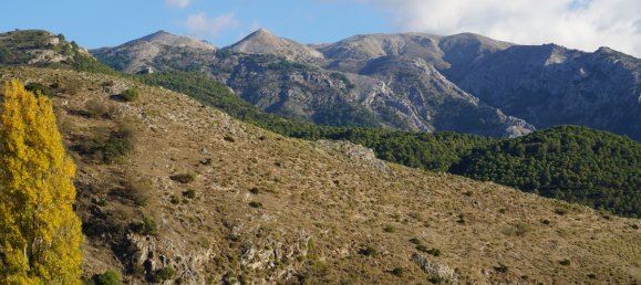 4 bedrooms House in Alcaucin, Spain No. 45157 29