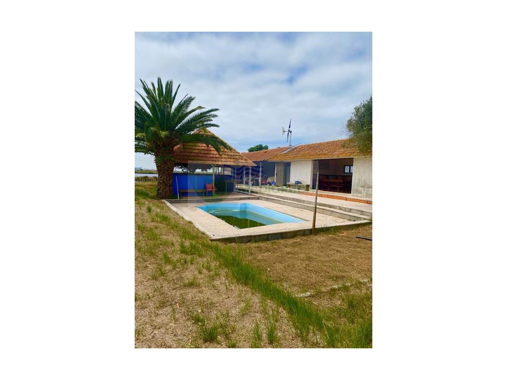 40000m² Land in Aveiro, Portugal No. 257522