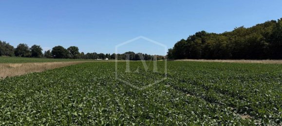 Terreno em Helmstedt, Germany N.º 294857 2