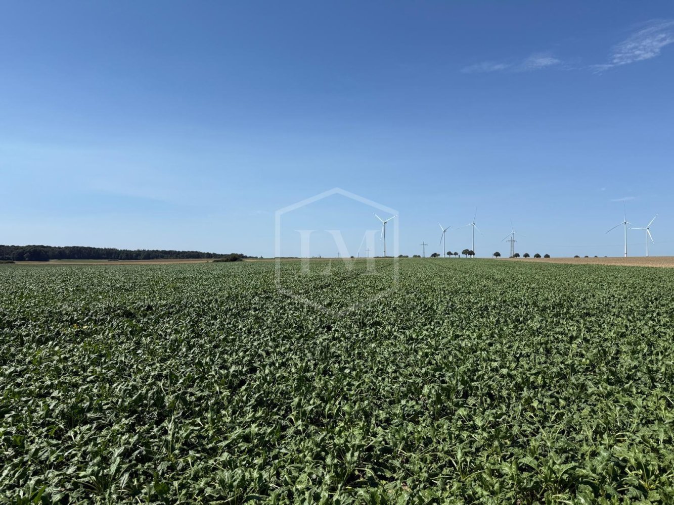 Terreno em Helmstedt, Germany N.º 294857